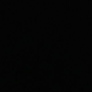 Meet your Posher, Evalynne